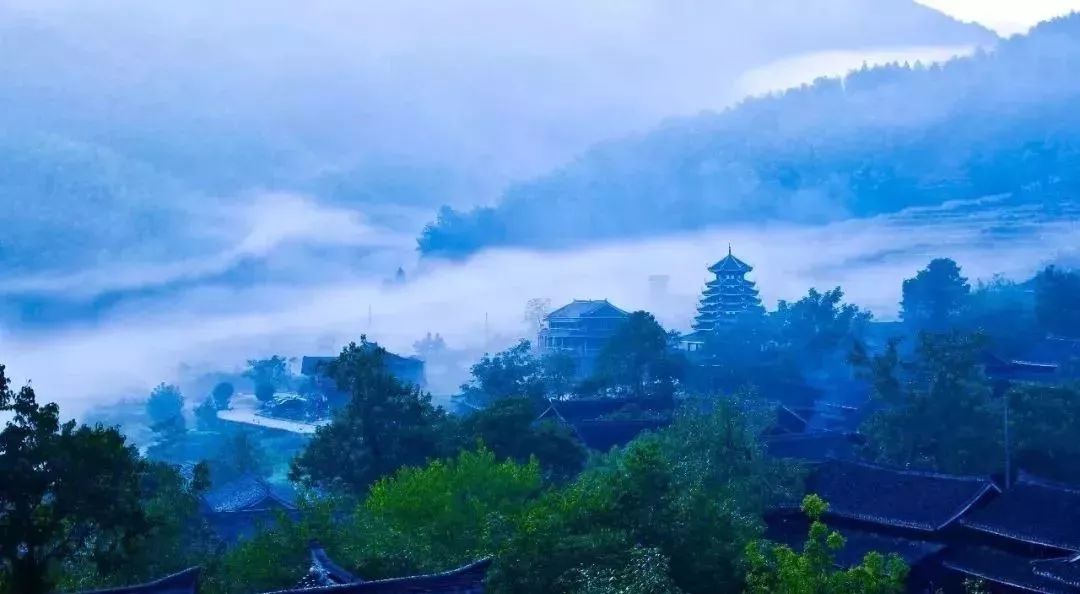 黄桑自然保护区全景